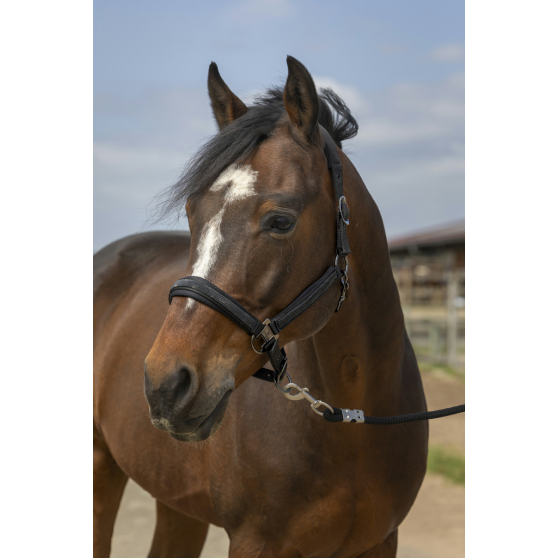 Licol EQUITHÈME - Strass - 510250