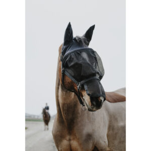 Licol + Masque EQUITHÈME - 510062