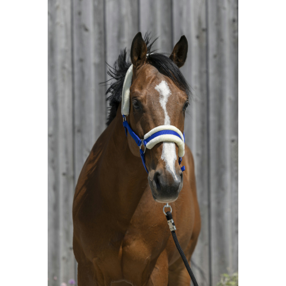 Licol Riding World mouton synthétique - 510242 – Image 5