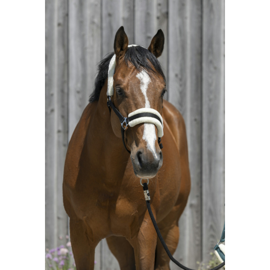 Licol Riding World mouton synthétique - 510242 – Image 2