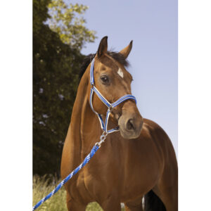 Longe EQUITHÈME Ligne - 520061