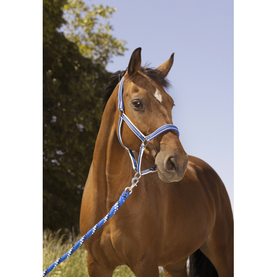 Longe EQUITHÈME Ligne - 520061