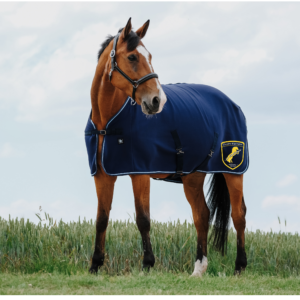 Chemise séchante Riding World - Le Shetland - Navy - 400701