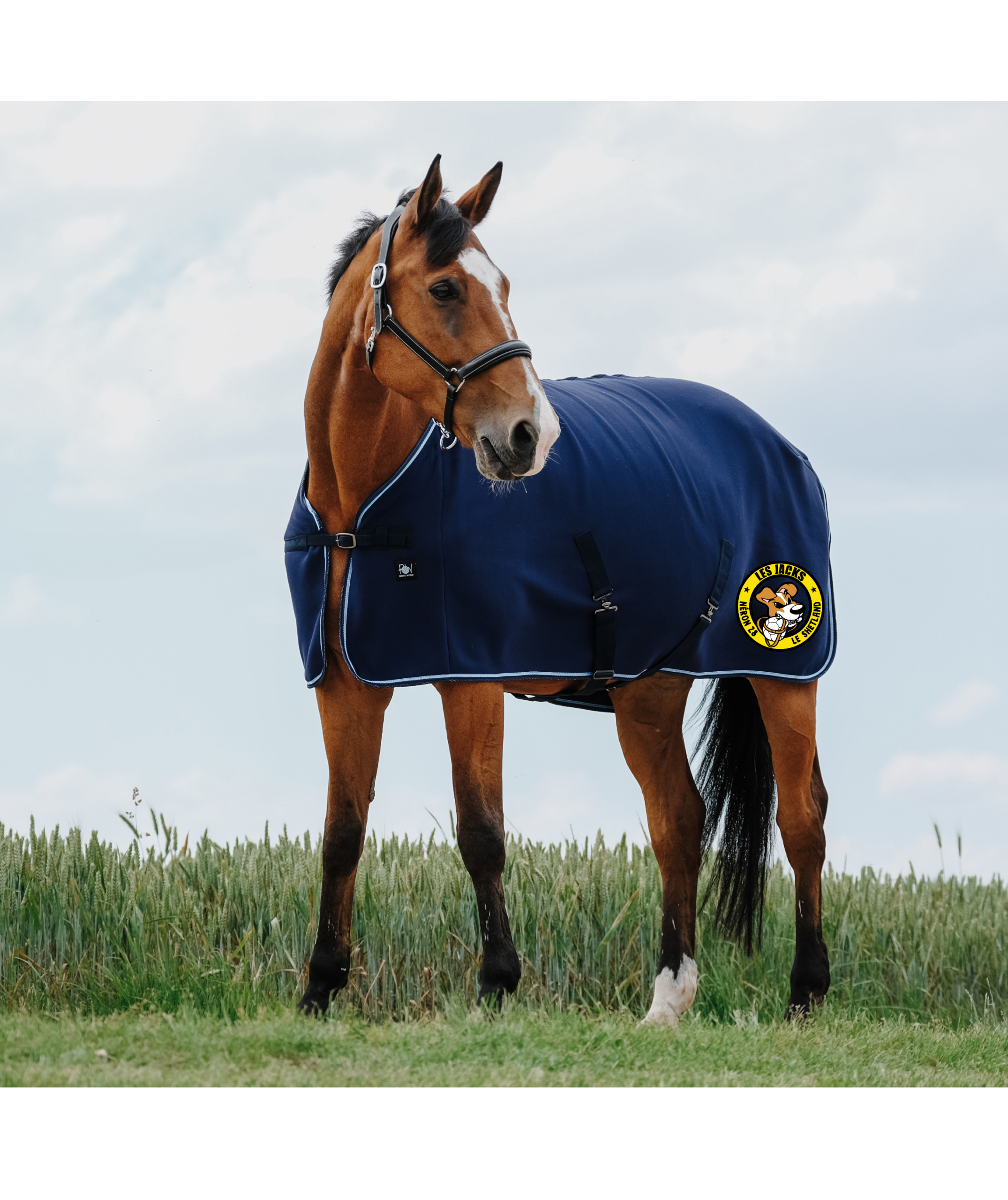 Chemise séchante Riding World - Le Shetland - Navy - 400701 – Image 2