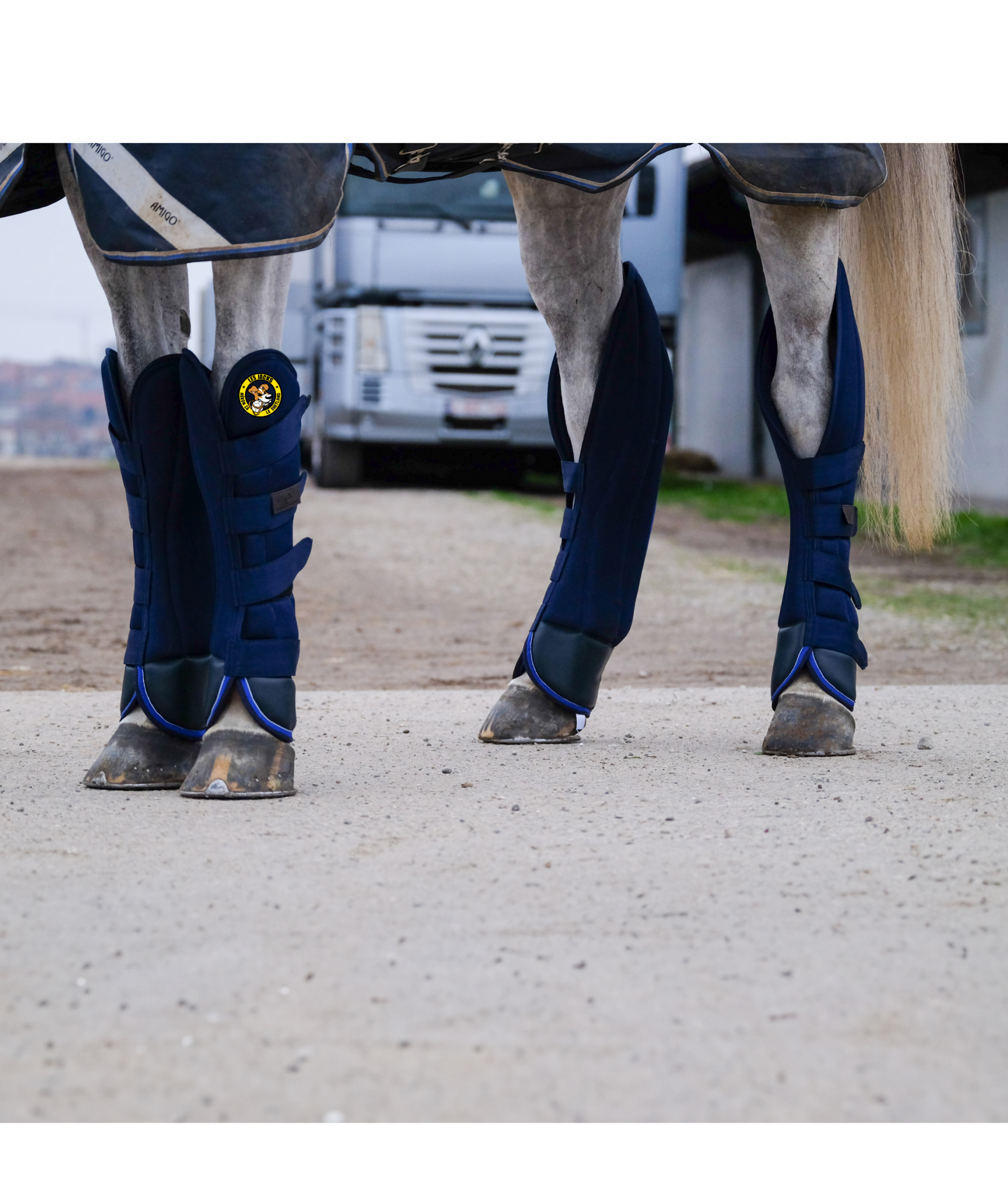 Guêtres de transport EQUITHÈME - Classic - Set de 4 - Le Shetland - Navy - 400535