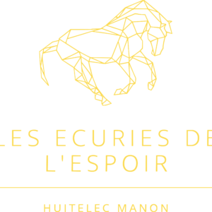 Les écuries de l’espoir (72800)