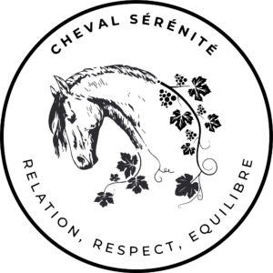 Spirit of Terroir (CHEVAL SERENITE) (33590)