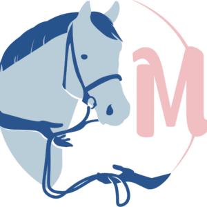 Mathy Horses (41000)