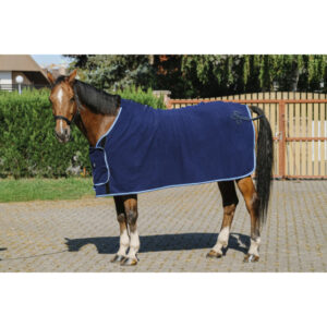 Chemise de présentation Riding World - 400702