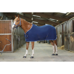 Chemise Polaire Riding World - 400637