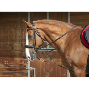 Gogue Norton Pro à poulies - 306403