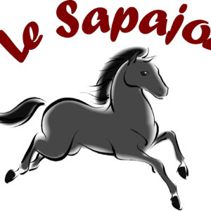 le sapajou (71670)