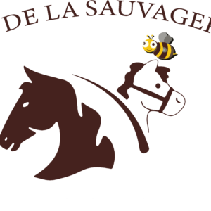 centre équestre de la sauvagerie (45260)