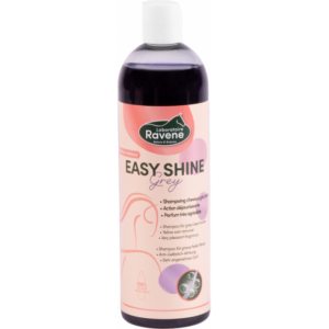 Shampoing Ravene Easy Shine Grey - 718012