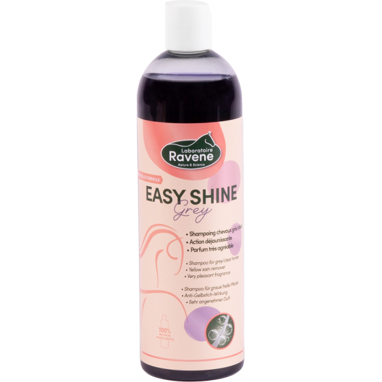 Shampoing Ravene Easy Shine Grey - 718012