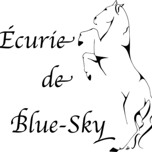 Ecuries Blue Sky (13170)