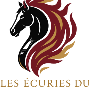 LES ECURIES DU PHOENIX (78810)