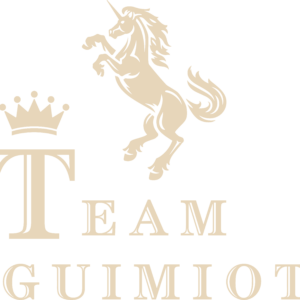 Team guimiot (91710)