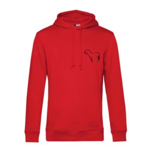 SWEAT A CAPUCHE (enfant) - Les Fjords du Razès - Rouge - K477