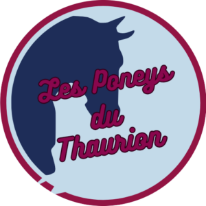 LES PONEYS DU THAURION (23400)
