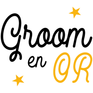 T-SHIRT - Groom en OR - Blagapart8