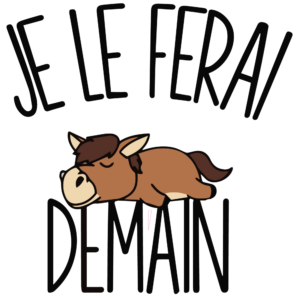 T-SHIRT - Je le ferai demain - Blagapart22