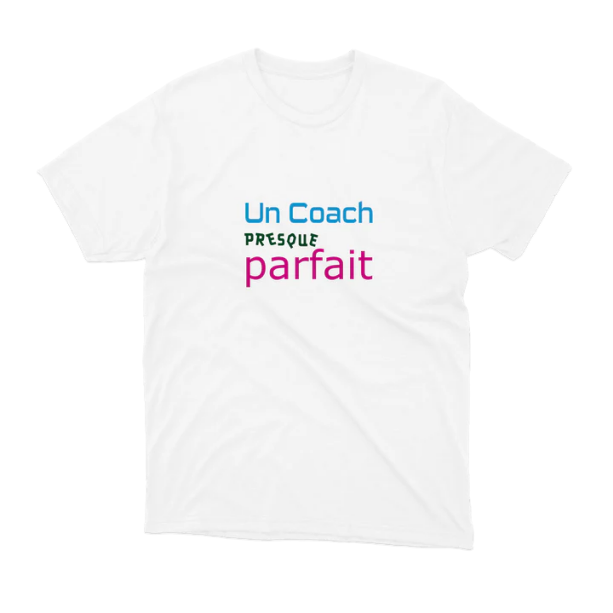 T-SHIRT - Un coach presque parfait - Blagapart12 – Image 2