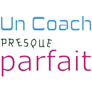T-SHIRT - Un coach presque parfait - Blagapart12