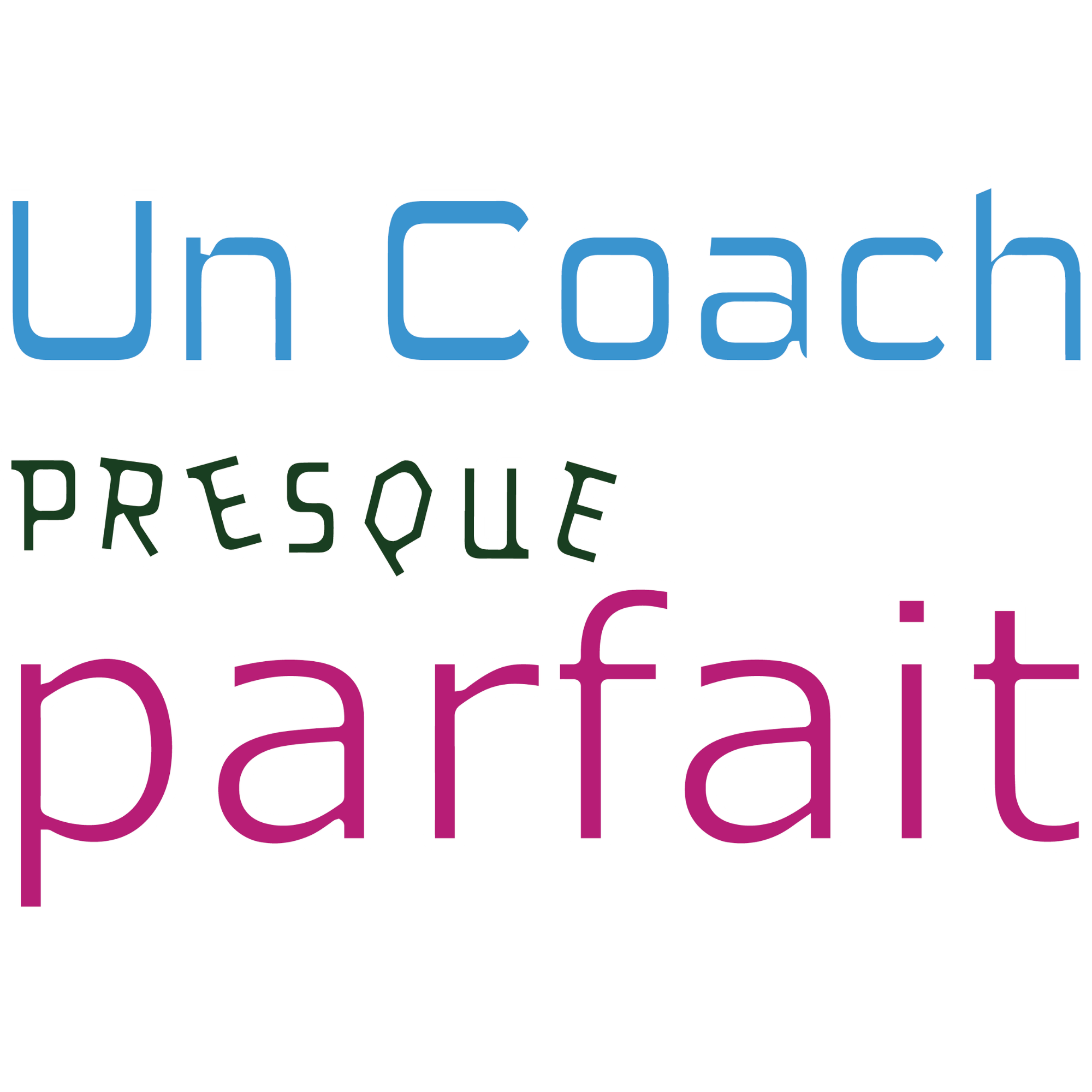 T-SHIRT - Un coach presque parfait - Blagapart12
