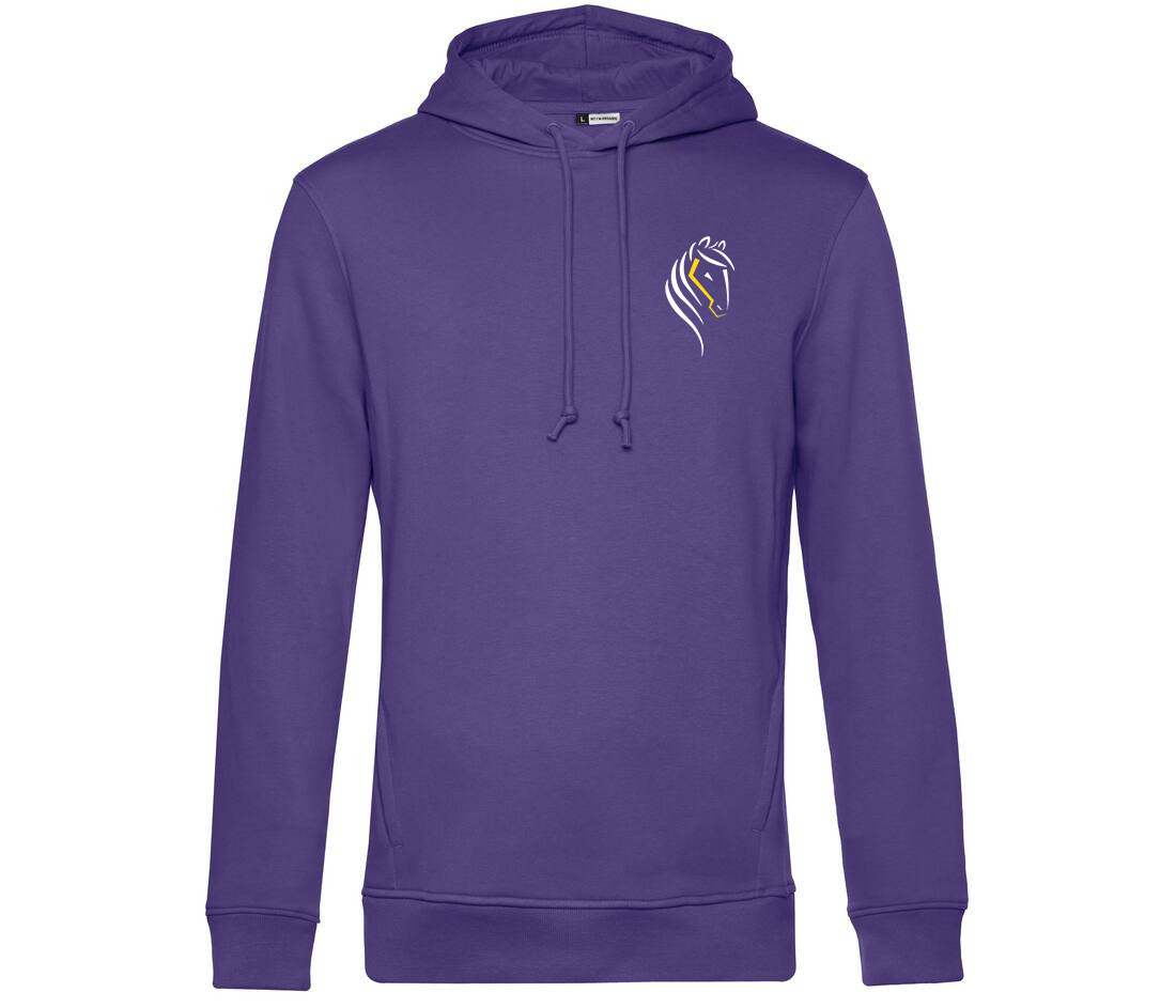 SWEAT A CAPUCHE (homme) - Régie Municipale centre équestre le Deven - Violet - BCU33B