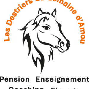 LES DESTRIERS DU DOMAINE D'AMOU (40330)