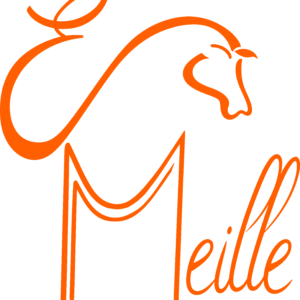 scea de meille (84480)