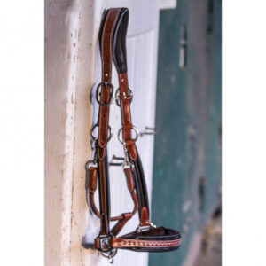 [PRE-VENTE]Licol Pénélope Point Sellier - 510310