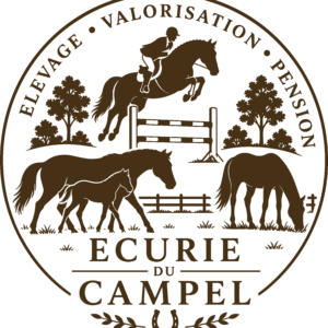 Ecurie du campel (59189)