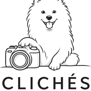 Clichés aux poils (06480)