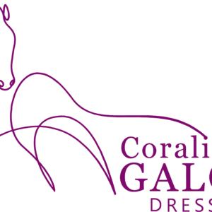 Coralie Galoy Dressage (94510)