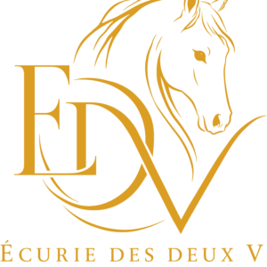 Ecurie des deux V (01540)
