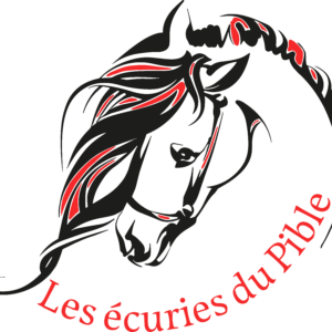 Les ecuries du pible (17500)
