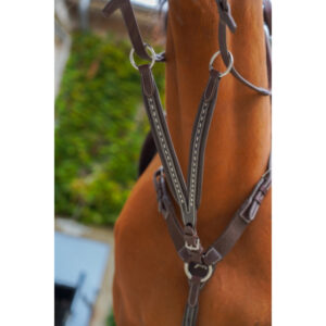 [PRE-VENTE]Flèche de martingale Pénélope Point sellier - 306153
