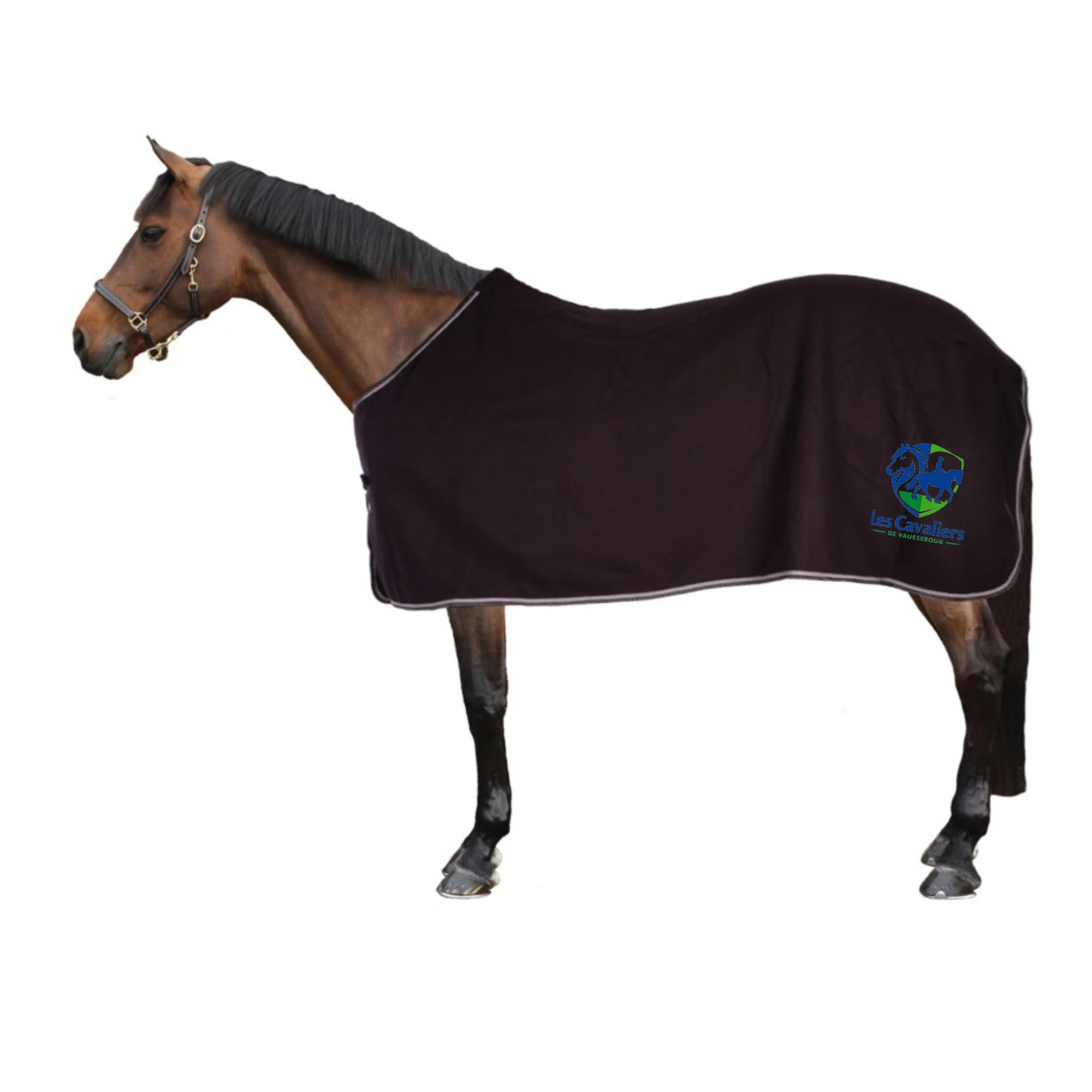 Chemise polaire Riding World (sans attaches) - Les cavaliers de Vausseroux - Noir - 400636