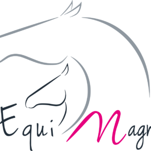 Les Equimagniaques (35140)