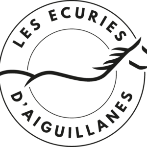 Les Ecuries d'Aiguillanes (09300)
