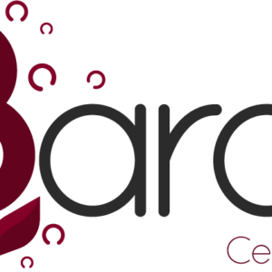 Centre équestre la Barotte (21400)