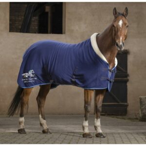 Chemise polaire Riding World Confort - Centre Équestre Des Vaseix - Navy - 400042