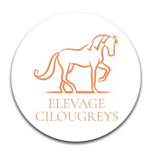 STICKER ROND - Cilougreys - STI001