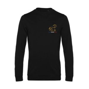 SWEAT COL ROND (enfant) - Ecurie de la brosse - Noir - ID332K