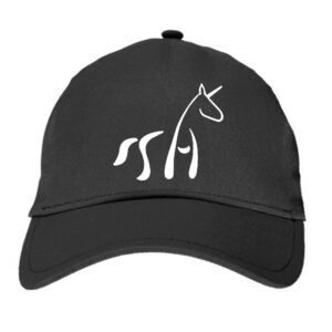 CASQUETTE - Räm's Haff - Gris Anthracite - BF015