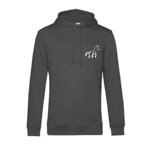SWEAT A CAPUCHE (homme) - Räm's Haff - Gris Anthracite - BCU33B