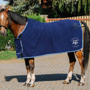 Chemise polaire Chemise de présentation Riding World – Centre Equestre du Marais (39) - navy - 400702
