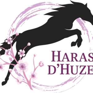 Haras d'huzel (41600)